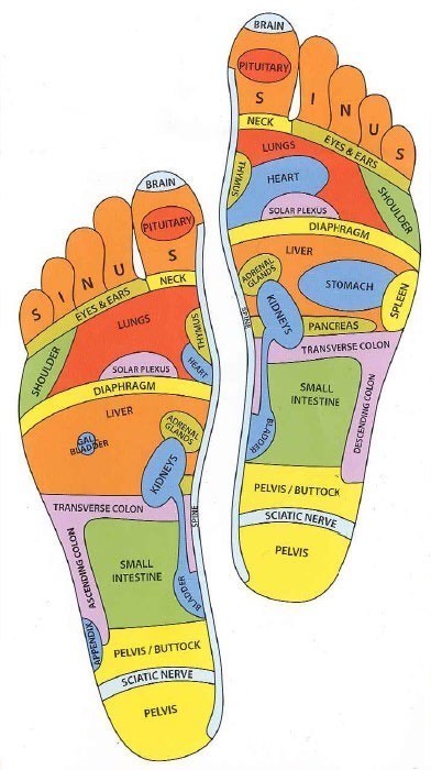 A foot reflexology chart.